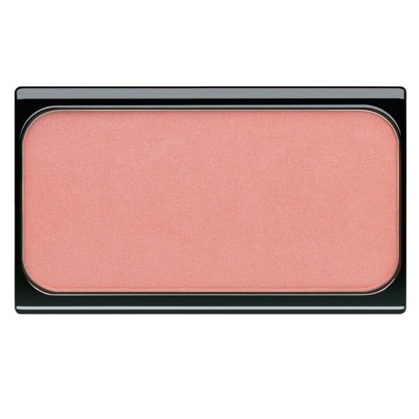 Compact blusher Fard à joues blush 10