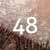 48